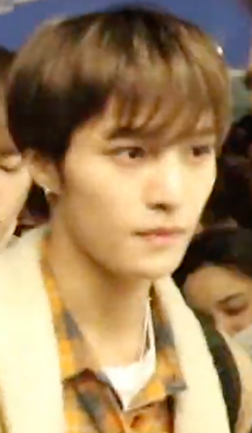 Yang Yang